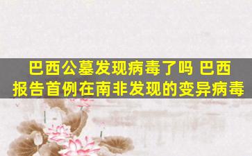巴西公墓发现病毒了吗 巴西报告首例在南非发现的变异病毒